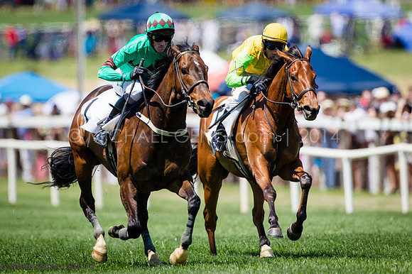 Atlanta Steeplechase 2013
