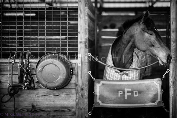 Atlanta Steeplechase 2013